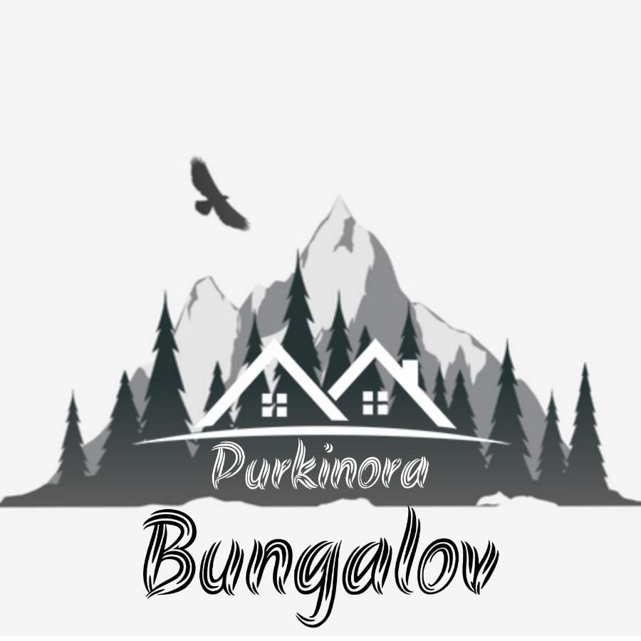 Purkinora Bungalov Çamlıhemşin 外观 照片