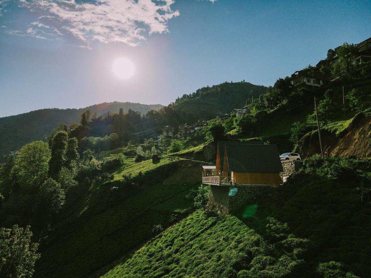 Purkinora Bungalov Çamlıhemşin 外观 照片