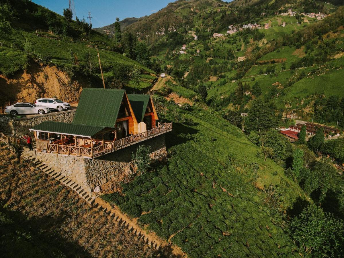 Purkinora Bungalov Çamlıhemşin 外观 照片