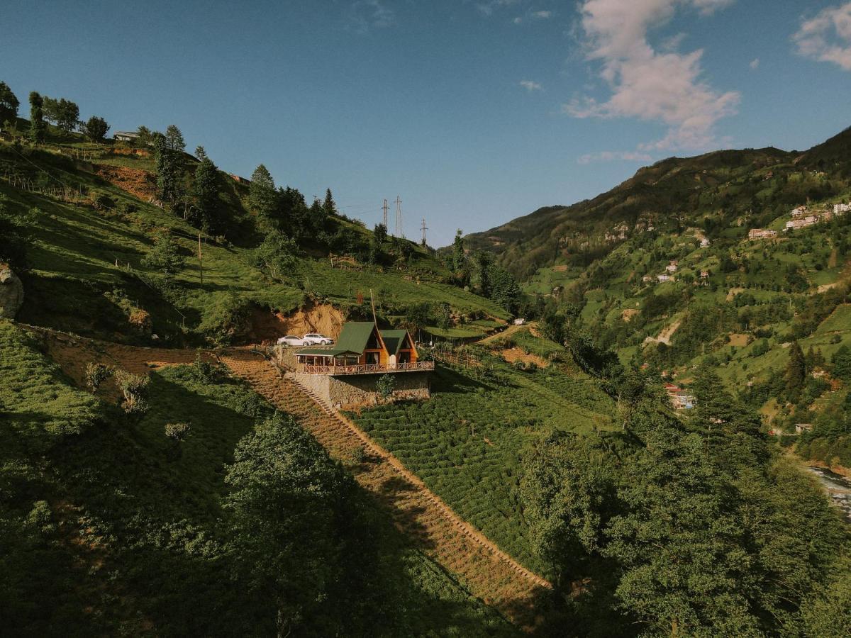 Purkinora Bungalov Çamlıhemşin 外观 照片