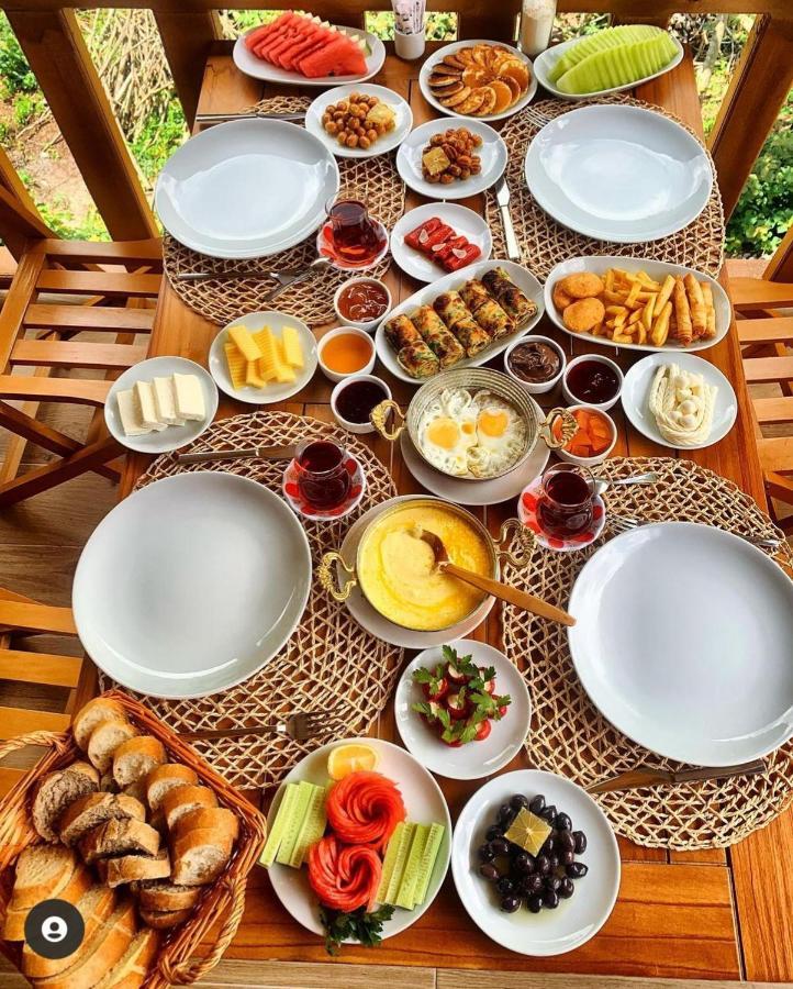 Purkinora Bungalov Çamlıhemşin 外观 照片