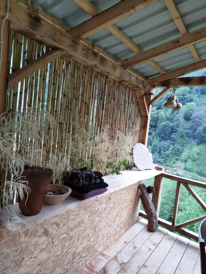 Purkinora Bungalov Çamlıhemşin 外观 照片