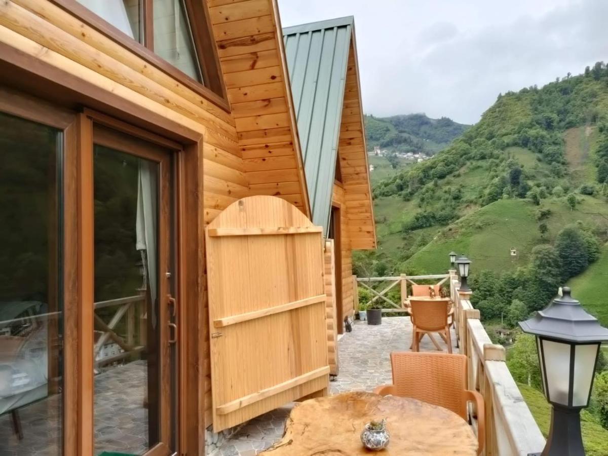 Purkinora Bungalov Çamlıhemşin 外观 照片