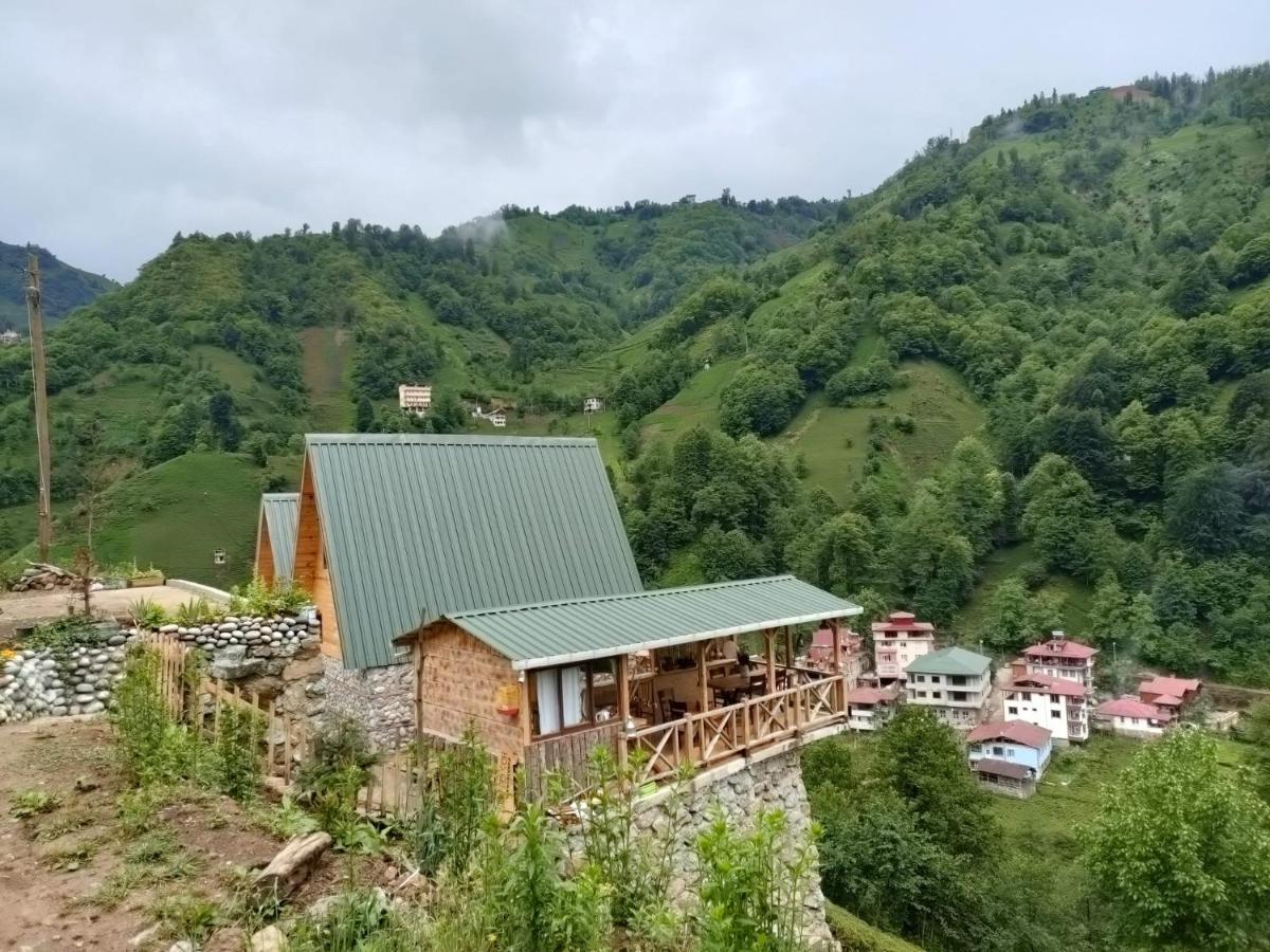 Purkinora Bungalov Çamlıhemşin 外观 照片