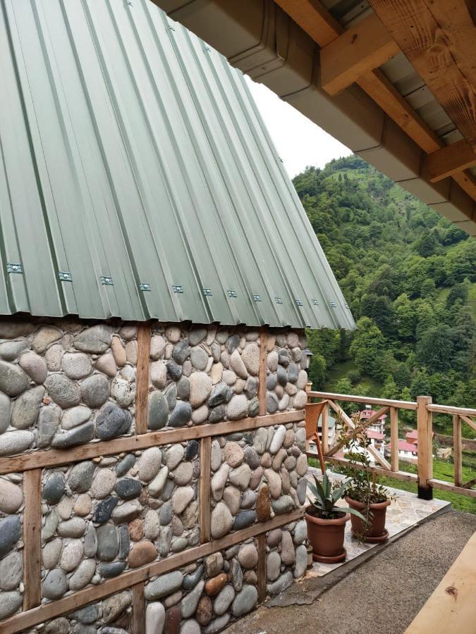 Purkinora Bungalov Çamlıhemşin 外观 照片