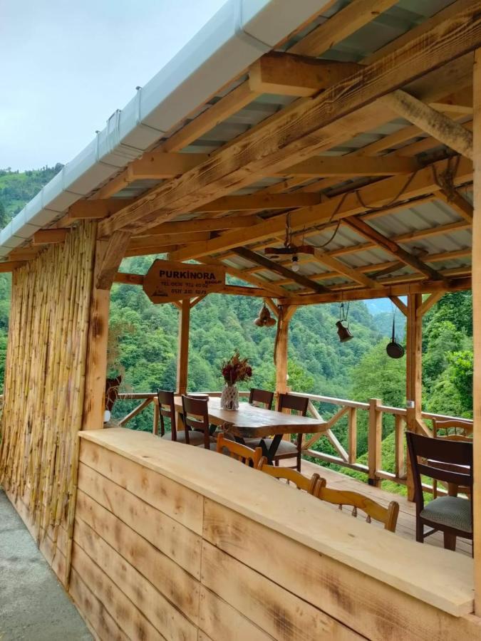 Purkinora Bungalov Çamlıhemşin 外观 照片