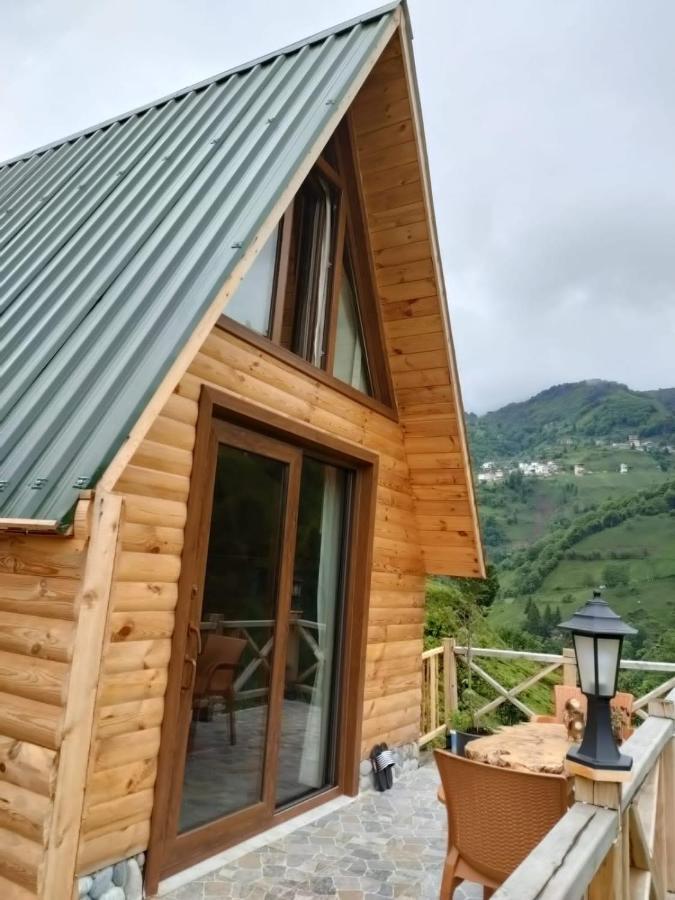 Purkinora Bungalov Çamlıhemşin 外观 照片