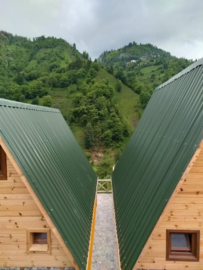 Purkinora Bungalov Çamlıhemşin 外观 照片
