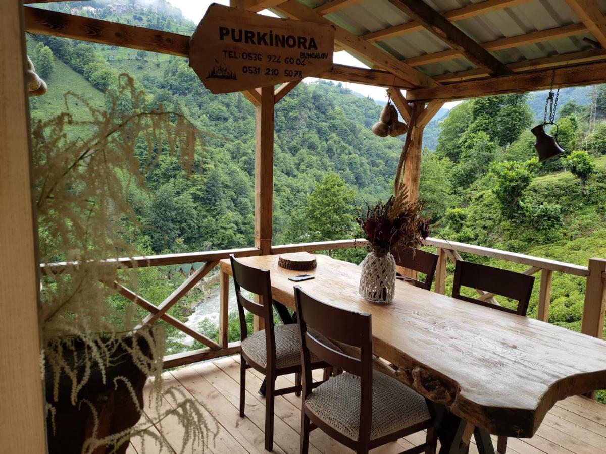 Purkinora Bungalov Çamlıhemşin 外观 照片