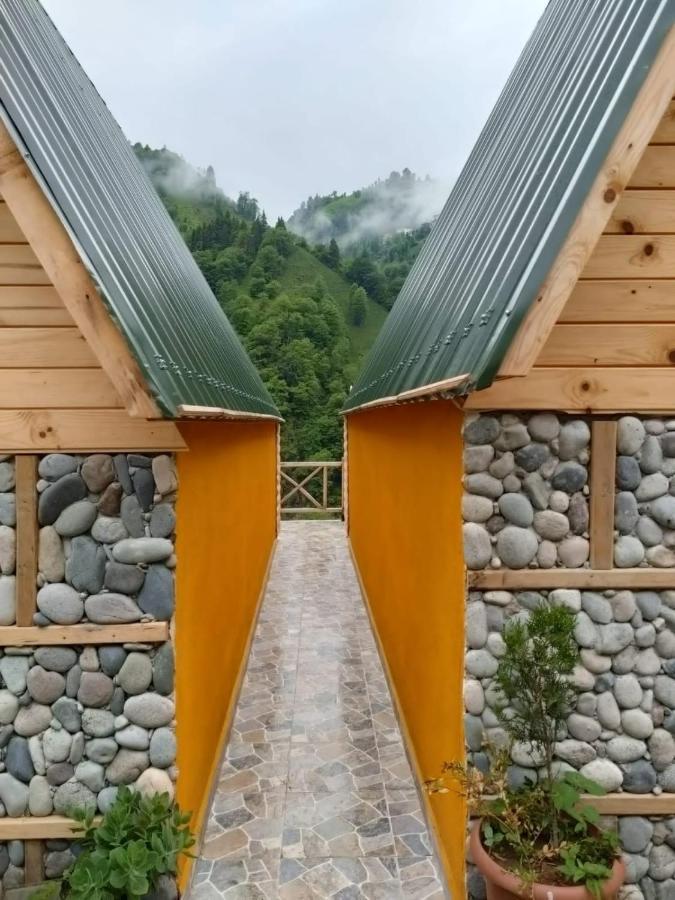 Purkinora Bungalov Çamlıhemşin 外观 照片