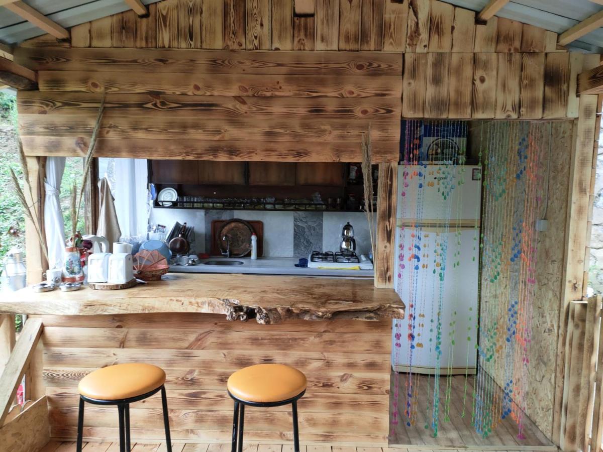 Purkinora Bungalov Çamlıhemşin 外观 照片