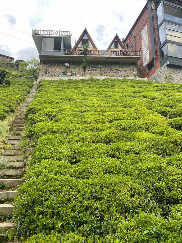 Purkinora Bungalov Çamlıhemşin 外观 照片