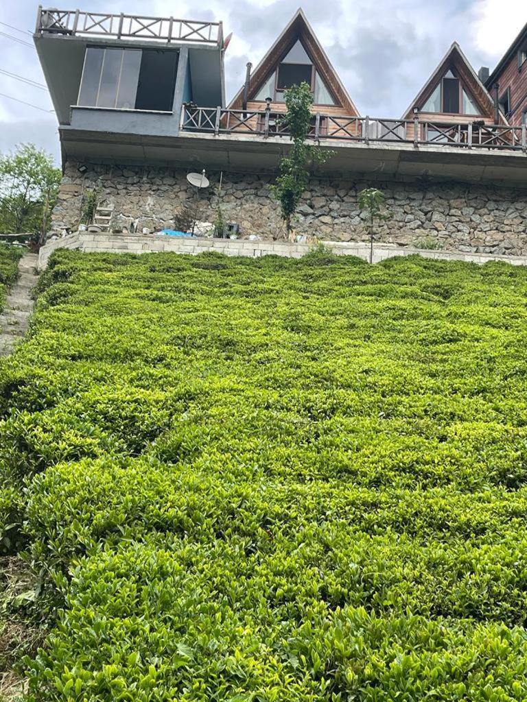 Purkinora Bungalov Çamlıhemşin 外观 照片